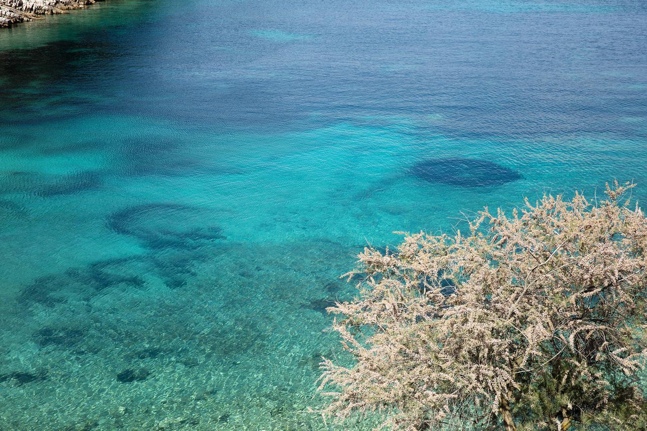 Little Green Bay Hotell Hvar Island Eksteriør bilde